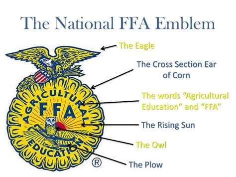 The official ceremony used to close a FFA meeting. . What does the corn mean in the ffa emblem